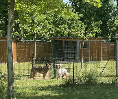 Pension canine des Épines de Christal, Gardien d'Animaux / Petsitter à Étoile-sur-Rhône