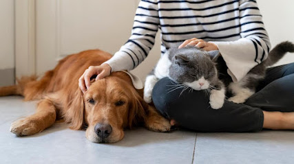 Pattes En Confiance Gardien D'animaux à Marly