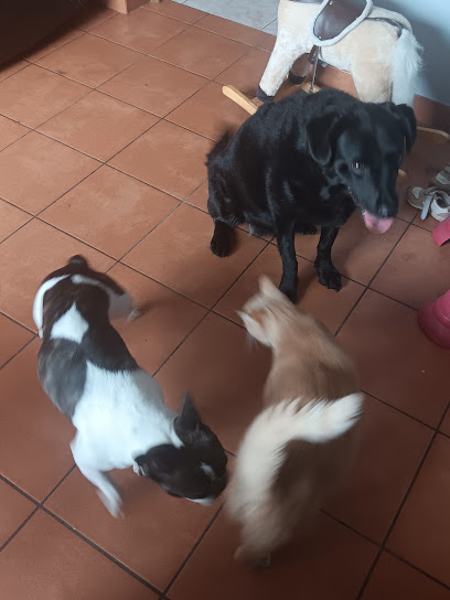 Pau De Bêtes, Gardien D'animaux à Billère