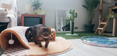 Le Chat'nells Gardien D'animaux à Herchies