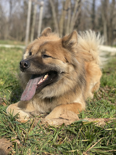 Animarche Pension Pour Animaux à Jacob-Bellecombette