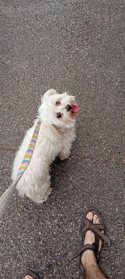 Garde La Truffe - Pet Sitter Valence, Gardien D'animaux à Valence