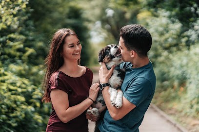 Les Aimer c'est les Garder / Ecole of Kyda [Pension, Éducateur canin, Taxi animalier, Visites à domicile], Gardien d'Animaux / Petsitter à Loon-Plage