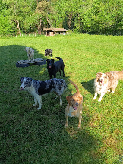 Titi Compagnie, Gardien D'animaux au Gâvre