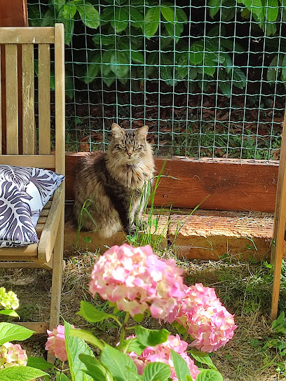 Les Chats De La Forêt, Gardien D'animaux à Chepniers