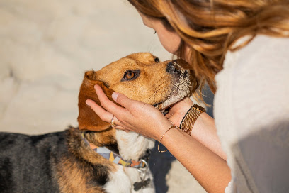 Suzani'maux, Pension Pour Animaux à Colpo