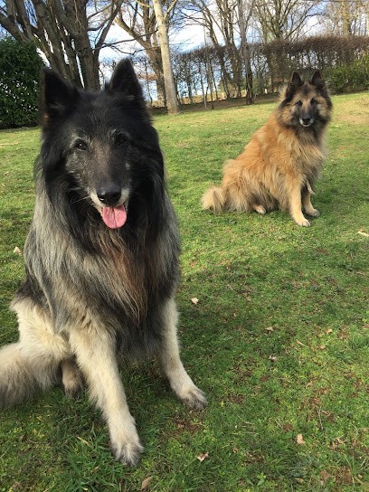 A.T.A.L Services-Animalier, Gardien d'Animaux / Petsitter à Aureil