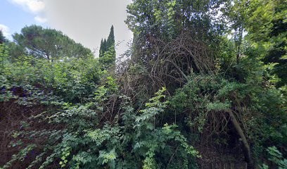 Arles et Compagnie, Pension pour Animaux à Arles