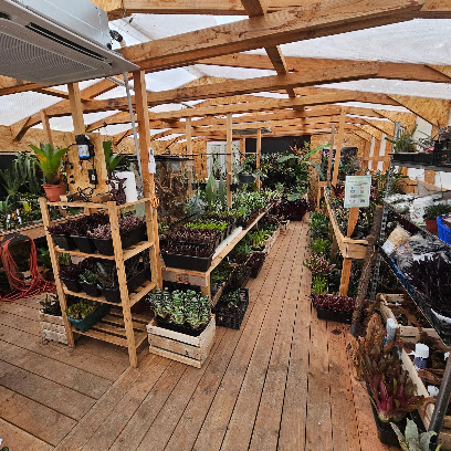 Junglebox Serre Plantes Tropicales Et Boutique En Ligne, Animalerie à Aumes