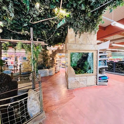 Animalis Saint Priest, Animalerie à Saint-Priest