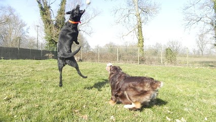 Les Terres D'azade Pension chiens et chat, Pension pour Animaux à Sandrans