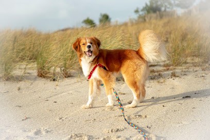 mon Animal sans Moi, Gardien d'Animaux / Petsitter à Combrit