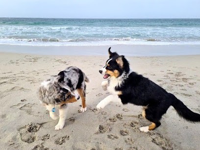 Blablanimo, Pension pour Animaux au Conquet