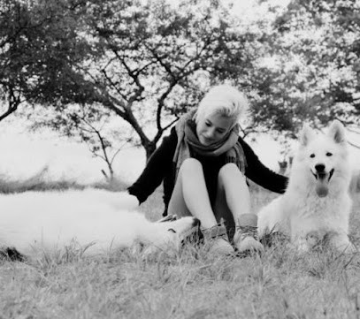 Un temps pour eux, Gardien d'Animaux / Petsitter à Dijon