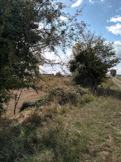 Ferme de Jainville, Animalerie à Mouy