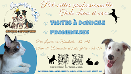 Les Protégés De Gaïa 🔥Pet-Sitter Chat Chien Nac À Sarcey Et Alentours 🐾Visites À Domicile 🐾Promenades, Gardien D'animaux à Sarcey