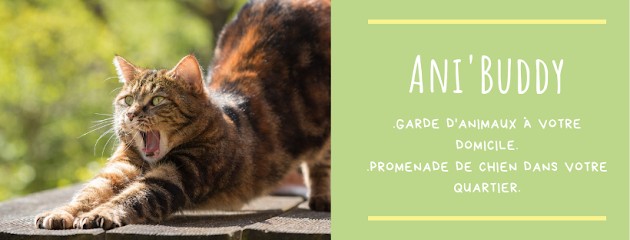 Ani'Buddy, Gardien d'Animaux / Petsitter à Amiens