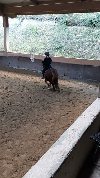 LesGriffes.fr, Animalerie à Carnoux-en-Provence
