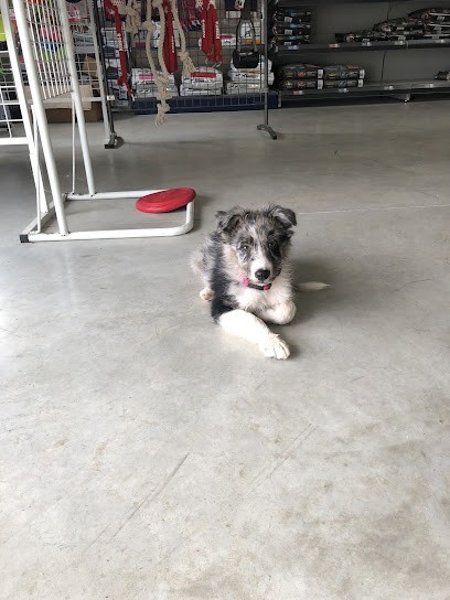 Melun Nutrition, Animalerie au Châtelet-en-Brie