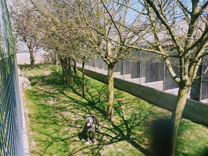 La Maison Canine & Féline, Gardien D'animaux à Bernay-Neuvy-en-Champagne