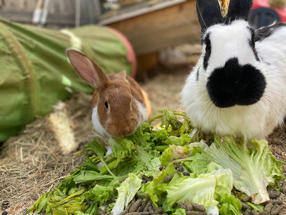 La Pet Académie Gardien D'animaux à Nancy