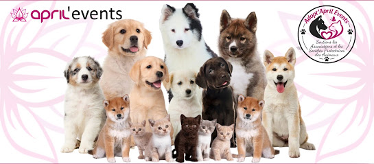 April Events Salon Du Chiot Et Du Chat Animalerie à Manthelan