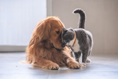 Elis'animaux, Gardien D'animaux à Izeure