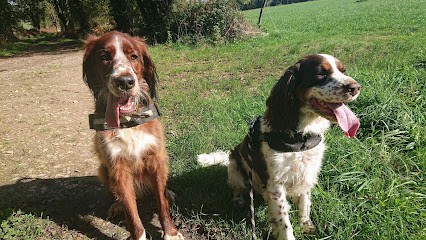 La maison de mel'animo, Pension pour Animaux à Senonnes