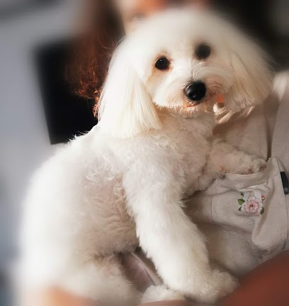 Toutou'Net, Animalerie à Villiers-Saint-Frédéric