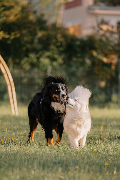 Monaccessoirechien, Animalerie à Parentis-en-Born