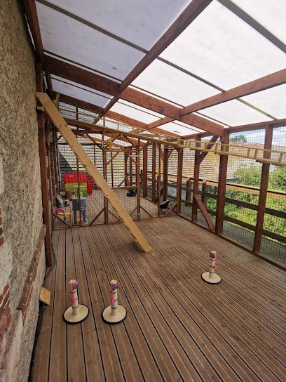 K6 pension canine et féline, Pension pour Animaux à Cuy-Saint-Fiacre