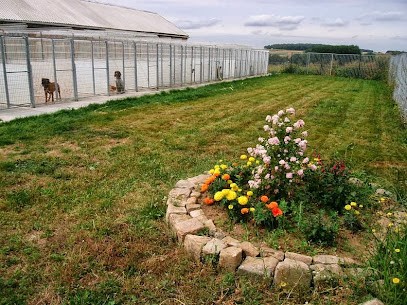 Pension Canine | L'os en bois, Pension pour Animaux à Vis-en-Artois