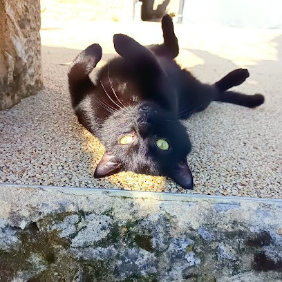 Sophie & Compagnie, Pension pour Animaux à Sagelat