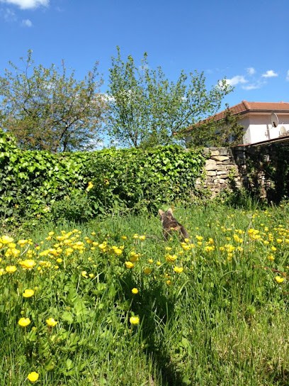 Artémis Sitter, Pension pour Animaux à Bourgoin-Jallieu