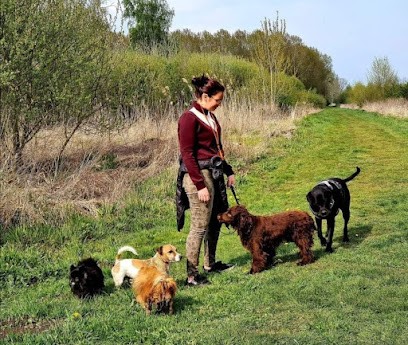 Les Z'amis de Laetitia, Gardien d'Animaux / Petsitter à Flavacourt