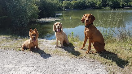 gardopoils, Pension pour Animaux à Eysines