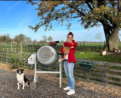 Equi et compagnie garderie et visites animaux promeneuse de chien et lavage textiles cuirs cavalier chevaux et animaux, Gardien d'Animaux / Petsitter à Champagné-Saint-Hilaire