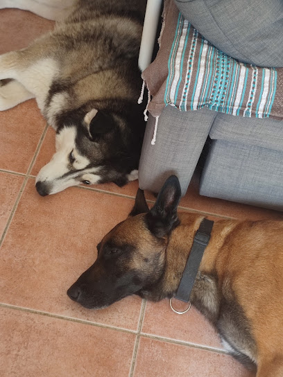 Dog-Care Gardien D'animaux à Châteauneuf-le-Rouge