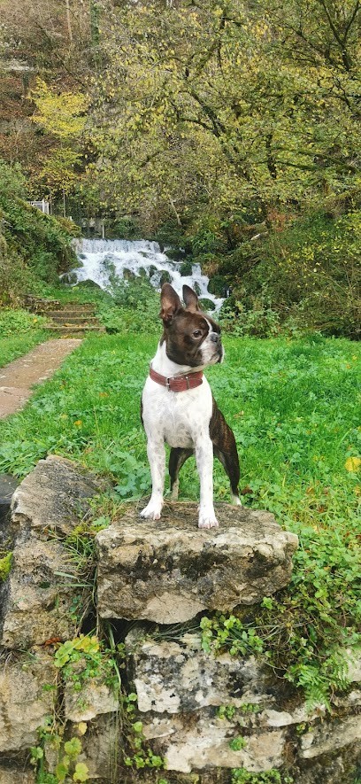 Zen Animaux, Gardien d'Animaux / Petsitter à Glay