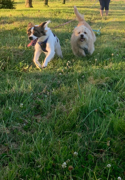 Flo&Co, Gardien D'animaux à Auxerre