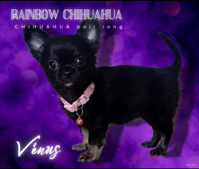 Chiwa Rainbow, Gardien D'animaux à Saint-Nazaire