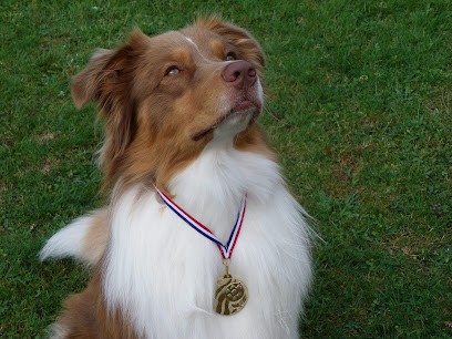 Marienounou19 Marie Berthout, Gardien d'Animaux / Petsitter à Chamberet