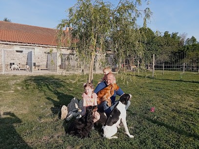 Pension Canine Les Guerriers Du Vent, Pension pour Animaux à Archigny
