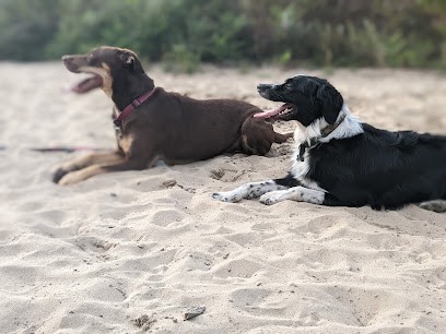 Truffe & Moustache, Gardien d'Animaux / Petsitter à Anglet