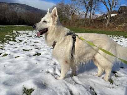 The Good Pet Sitter, Gardien d'Animaux / Petsitter à Divonne-les-Bains