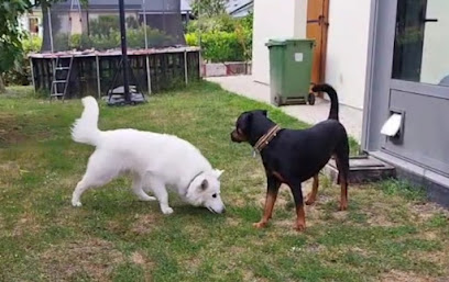 Pet Cycy – Garde & Naturopathie Animalière À Fondettes Gardien D'animaux à Fondettes
