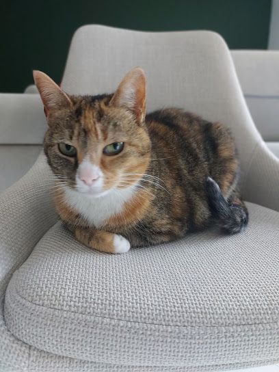 Gard'o Poil Petsitting, Gardien D'animaux à Mérignac