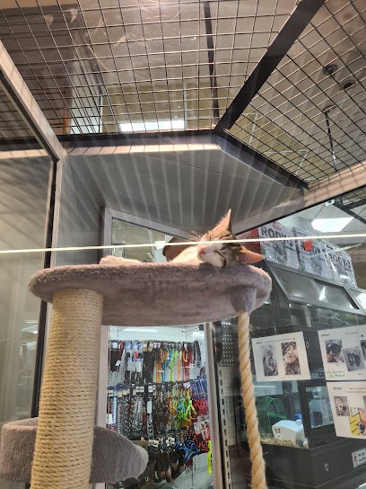 Petland Créteil, Animalerie à Créteil