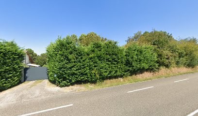 MAINE COON DE LUXE, Animalerie à Gans