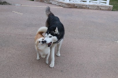 La Compagnie des Z'Amis, Gardien d'Animaux / Petsitter à Lespinasse